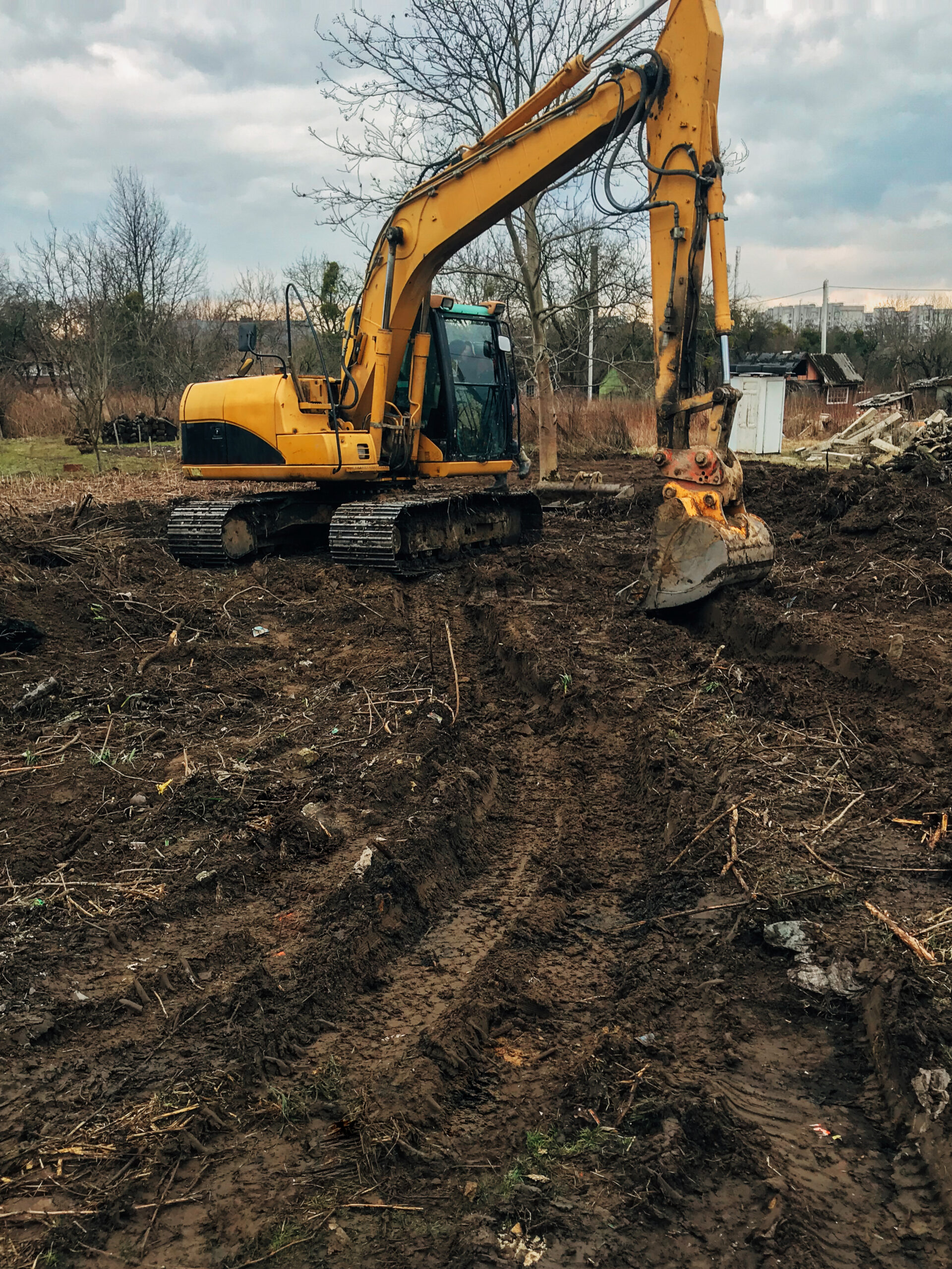 Excavator uprooting trees on land in countryside. Bulldozer clearing land from old trees, roots and branches with dirt and trash. Backhoe machinery. Yard work