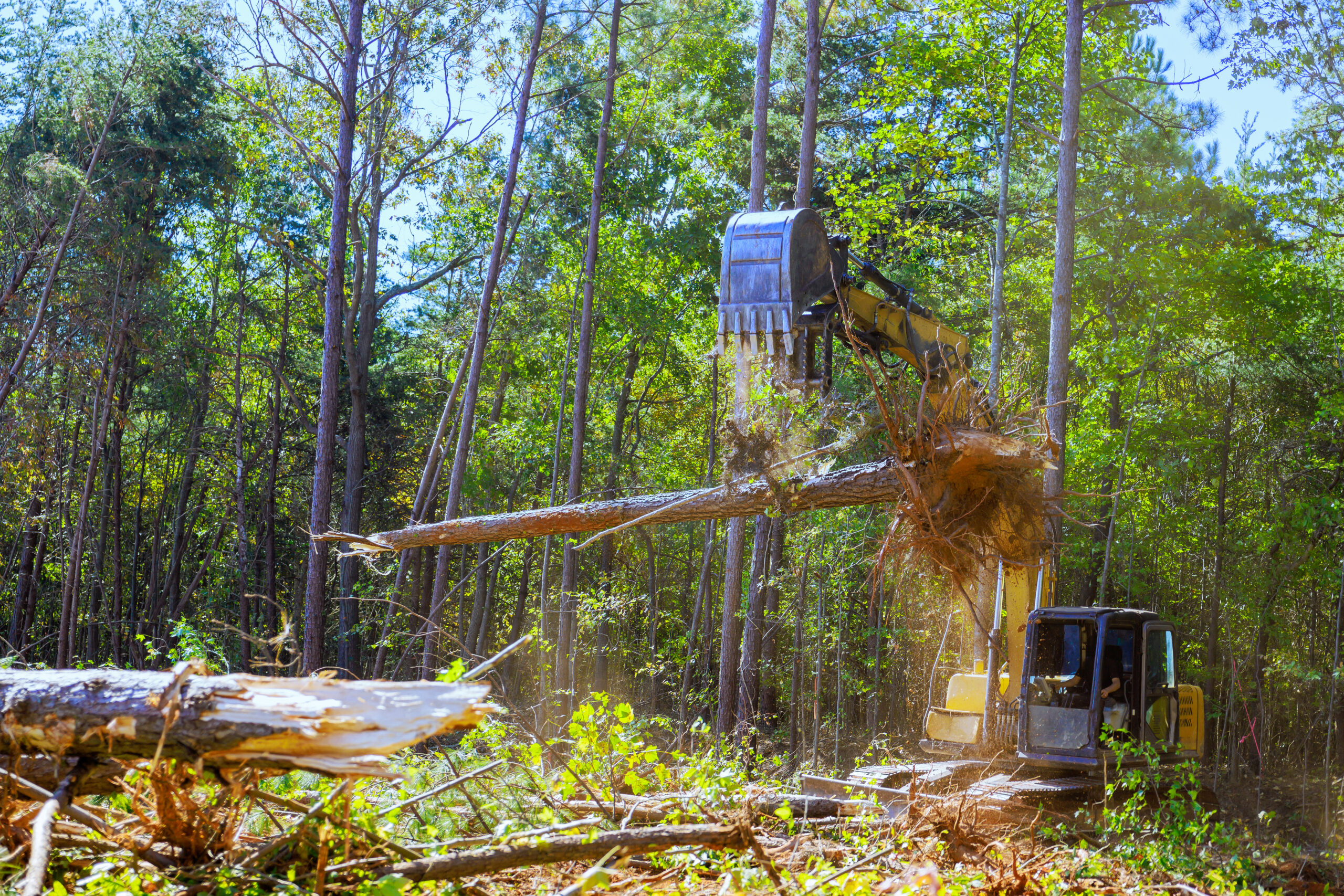 Contractor uses an excavator to uproot trees when preparing land for construction project