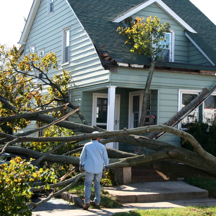 emergency-tree-services-sebewaing-mi