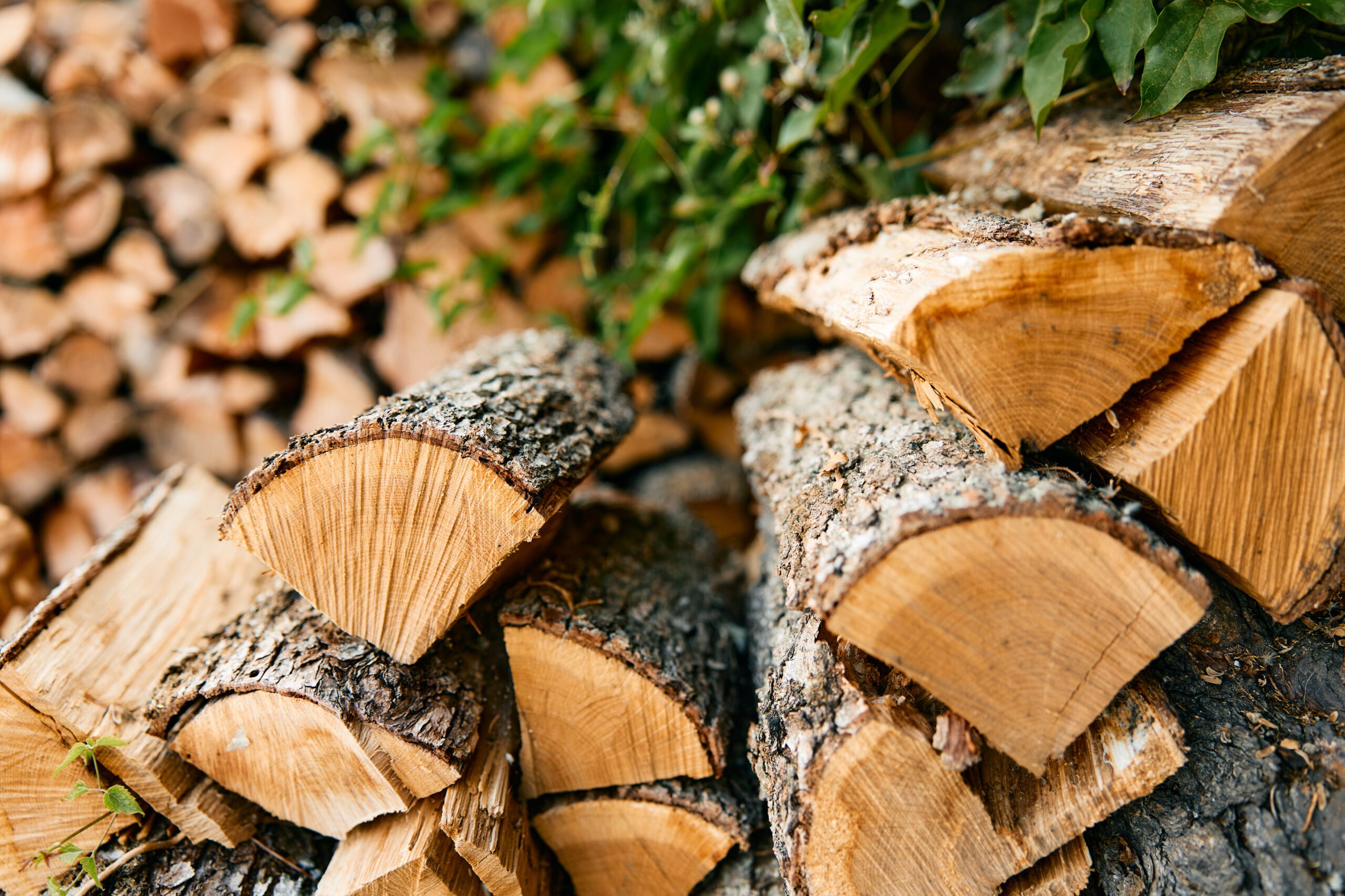 Stack of logs and firewood in front of wooden wall, rustic outdoor decor concept