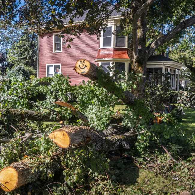 storm-damage-services-sebewaing-mi