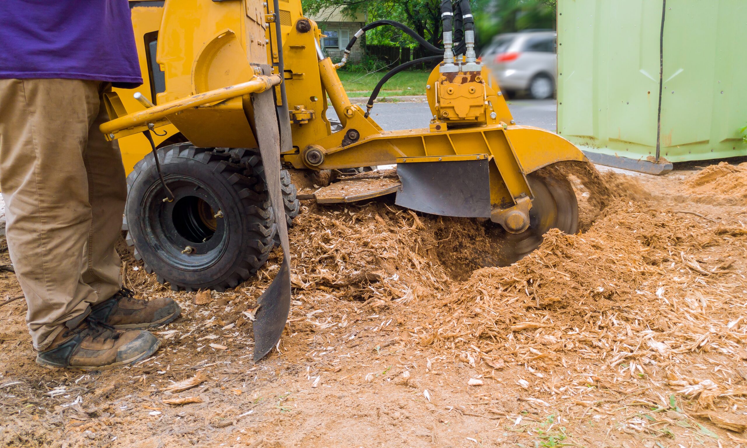 stump grinder in action tree cut nature is destroyed