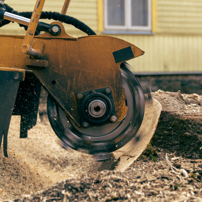 stump-removal-in-a-landscape-project-sebewaing-mi